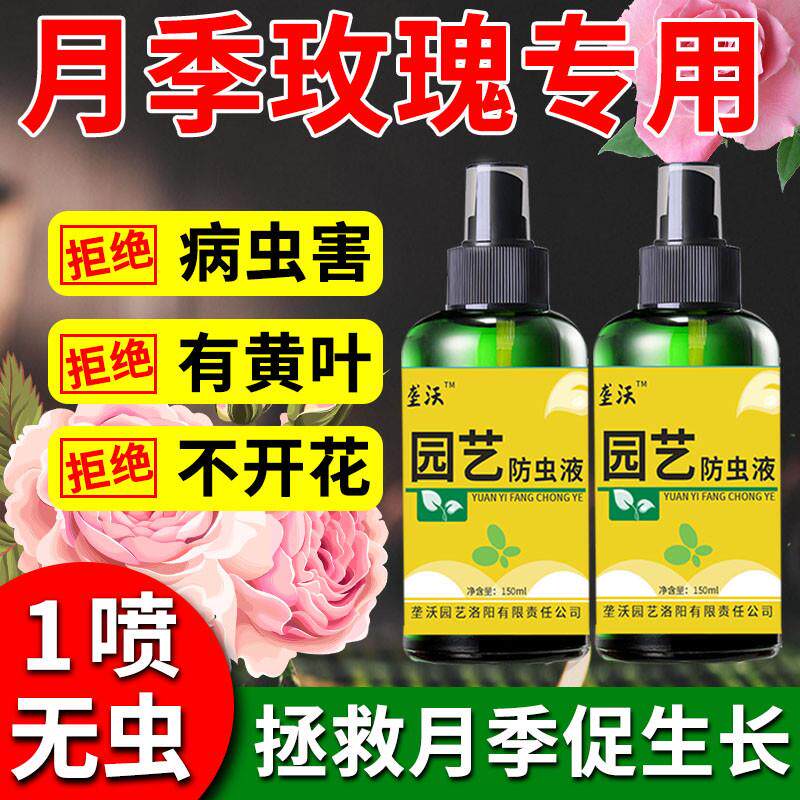 月季花病虫害常用药专治黑斑病白粉病红蜘蛛玫瑰月季花专用杀虫药