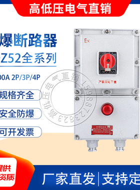 BDZ52防爆断路器2P3P4P带漏电空气开关220380V三相配电接线控制箱