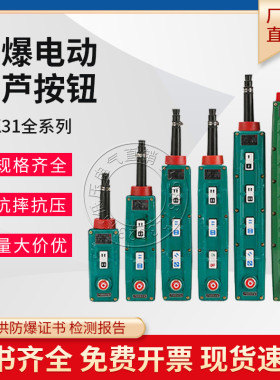 防爆控制按钮BAK21 BAK41 BAK31-2K/4K/6K/8K/10电动葫芦手柄开关