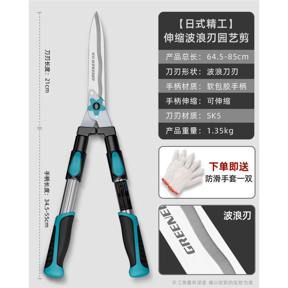 绿林园艺大剪刀草坪绿篱园林苗木