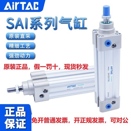 SAI100X25X50X75X100X125X175-S