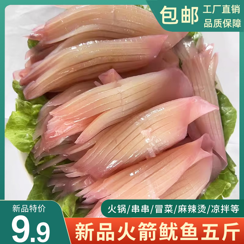 火箭鱿鱼须商用火锅烧烤串串食材