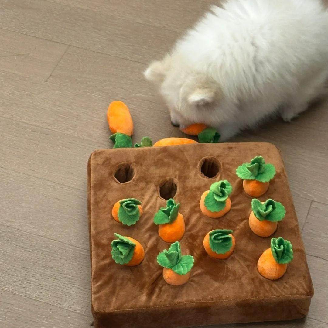 创意毛绒玩具宠物可啃咬拔罗卜套装互动儿童亲子锻炼抓握协调玩偶,宠物/宠物食品及用品,漏食玩具/藏食玩具/嗅闻玩具,淘宝优惠券,粉丝福利购,淘宝优惠卷