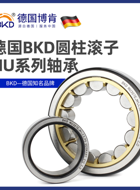 德国BKD进口轴承NU230 232 238 240 248 252 256 260 304EM C3 P4