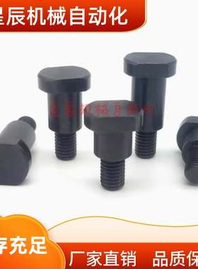 CBDBW8/CBDBW10/CBDBW12-5 6 7 8 9 10 12 13 15 20 支点台阶螺丝