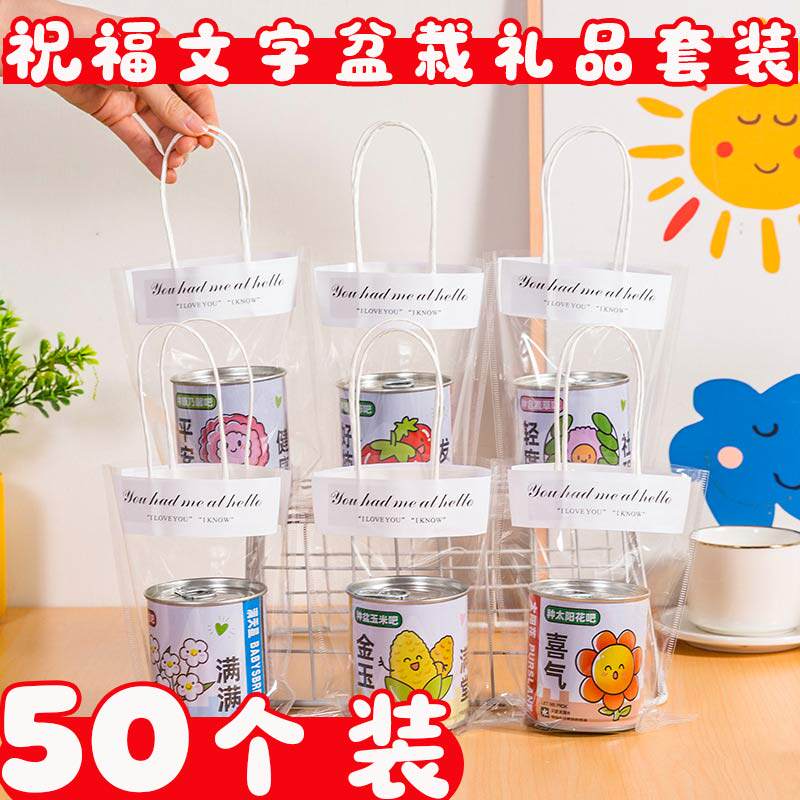 创意祝福盆栽礼盒套装感恩儿童礼物开学季送学生奖品幼儿园小礼品