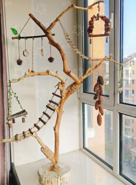 天然树枝去皮原木鹦鹉站杆架小鸟站架文艺造型灯架训鸟架秋千鸟笼