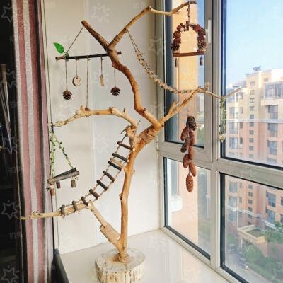 天然树枝去皮原木鹦鹉站杆架小鸟站架文艺造型灯架训鸟架秋千鸟笼