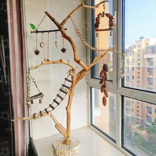 天然树枝去皮原木鹦鹉站杆架小鸟站架文艺造型灯架训鸟架秋千鸟笼