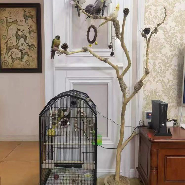 树枝鸟站架树杆鹦鹉站架树干原木站杆树杈秋千鸟笼实木灯架枯枝