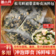 速食松茸紫菜虾皮汤料包 开水冲泡小包装 馄饨方便汤商用即食