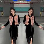 新中式国风套装女2025年春秋新款显瘦盘扣马甲+改良旗袍裙两件套