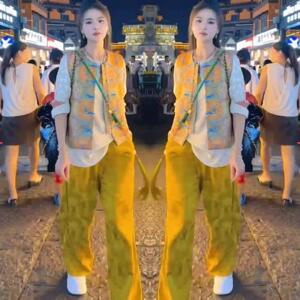 新中式国风三件套装女2025春秋新款提花立领盘扣马甲打底衫阔腿裤