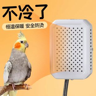 鹦鹉专用取暖器恒温加热玄凤小太阳鸟笼保温灯冬季取暖灯过冬神器