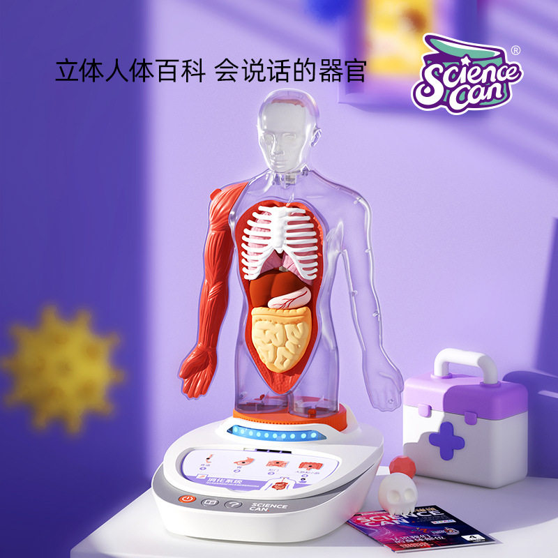 儿童可拆卸器官模型立体身体百科教具科学小实验套装玩具语音互动