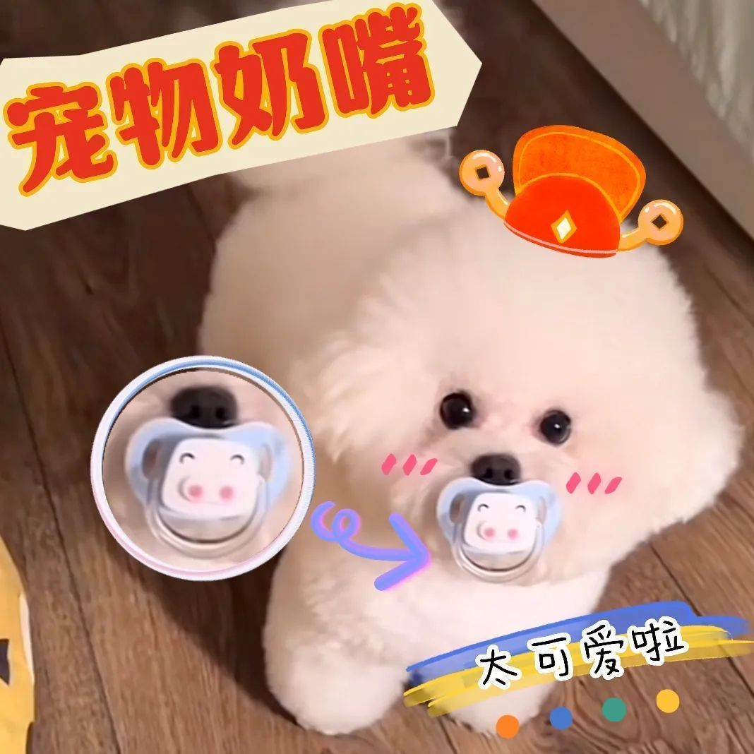 宠物玩具小狗磨牙解闷幼犬比熊新生睡觉仿生奶嘴狗狗专用安抚奶嘴