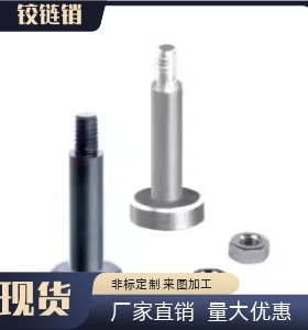 CLBGNU4 5 6 8 10 12-10 12 14 15 16 18 20 22 24 25带肩铰链销