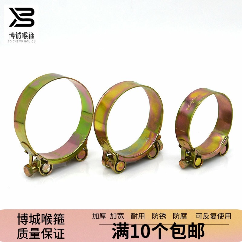 强力喉箍欧式铁镀锌加厚加宽管箍抱箍锁紧水管油管钢丝管加强卡箍,标准件/零部件/工业耗材,卡箍/抱箍/喉箍,淘宝优惠券,粉丝福利购,淘宝优惠卷
