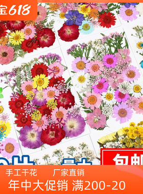 手工干花材料新款天然玫瑰40