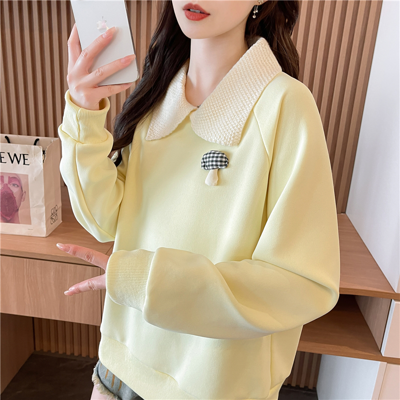 设计感小众撞色百搭卫衣女春秋季