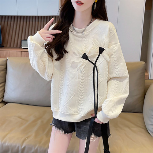 设计感小众2024新款卫衣女春秋季