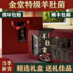 精选羊肚菌金堂特产干货礼盒送人当季新货非野生云南新鲜牛肚菌菇