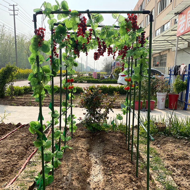 葡萄爬藤架黄瓜豆角种菜