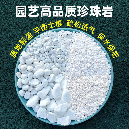 珍珠岩颗粒用多肉珍珠岩