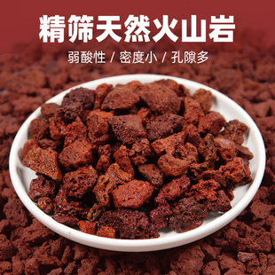 天然火山石红火山岩黑火山石造景多肉兰花石专用营养土铺面包上楼