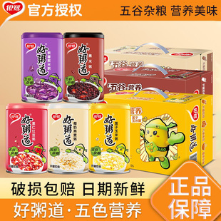 12罐多规格早餐速食粥 6罐 银鹭好粥道八宝粥黑米紫薯粥280g 3罐