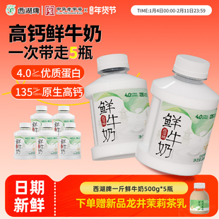 西湖牌低温鲜牛奶4.0g蛋白质巴氏杀菌儿童营养早餐奶500g*5旗舰店
