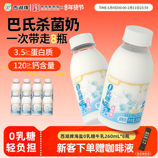 西湖牌海盐0乳糖牛奶260mL*8瓶新鲜低温奶早餐营养无乳糖不耐受