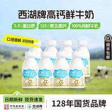 260ml*6瓶！杭州西湖牌高钙鲜牛奶