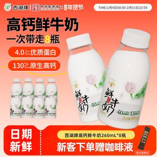 西湖牌原生高钙低温鲜牛奶巴氏杀菌学生儿童早餐奶260ml*6旗舰店
