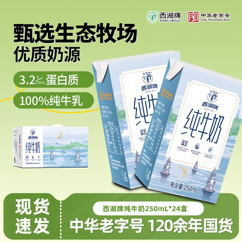 西湖牌纯牛奶250ml*24盒