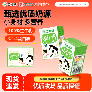 西湖牌纯牛奶儿童学生青少年成人营养早餐奶125mL*24盒整箱礼盒