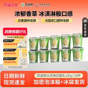 西湖牌香草冰淇淋味优酪乳100g*10杯