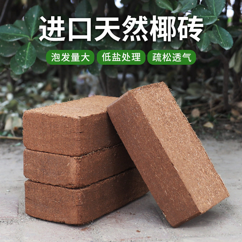 椰砖营养650克种花种菜脱盐土壤