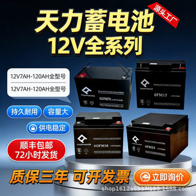 【现货】天力 6GFM100AH 蓄电池 机房直流屏专用免维护铅酸电池