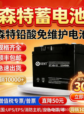 SENT森特蓄电池ST100-12V7 17 24 38 40 65 120AH机房直流屏专用