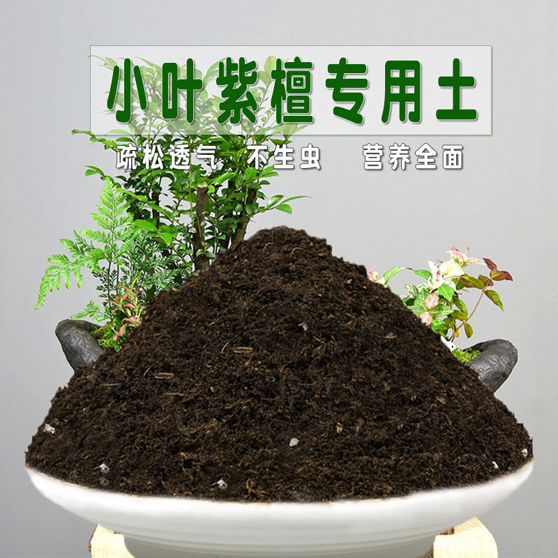 小叶紫檀专用土营养土盆栽配方盆景透气泥土壤养花种植土通用肥料