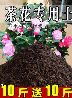 茶花专用土山茶花专用营养土盆栽土养花种花土通用种植土有机肥料