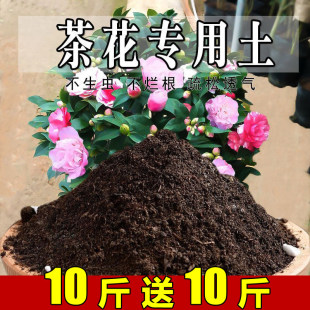 茶花专用土山茶花专用营养土盆栽土养花种花土通用种植土有机肥料
