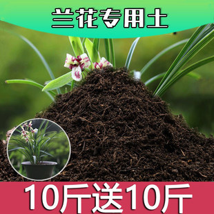 兰花专用土腐殖土种花养花盆栽绿植通用土兰花营养土种植有机土壤