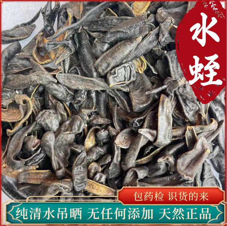 纯清水吊杆水蛭野生宽体正品蚂鳖干天然蚂蝗 无盐无硫无矾水蛭粉