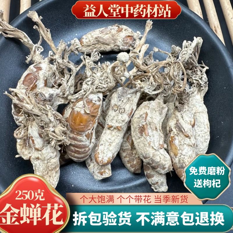 大别山野生金蝉花新货蝉花虫草粉中药材金蚕花500克包邮