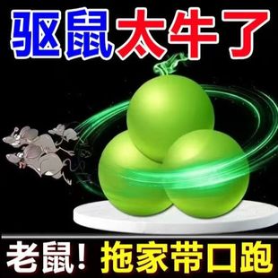 强力驱鼠丸驱虫防鼠户外室内虫鼠驱避丸发动机舱驱鼠神器去除耗子