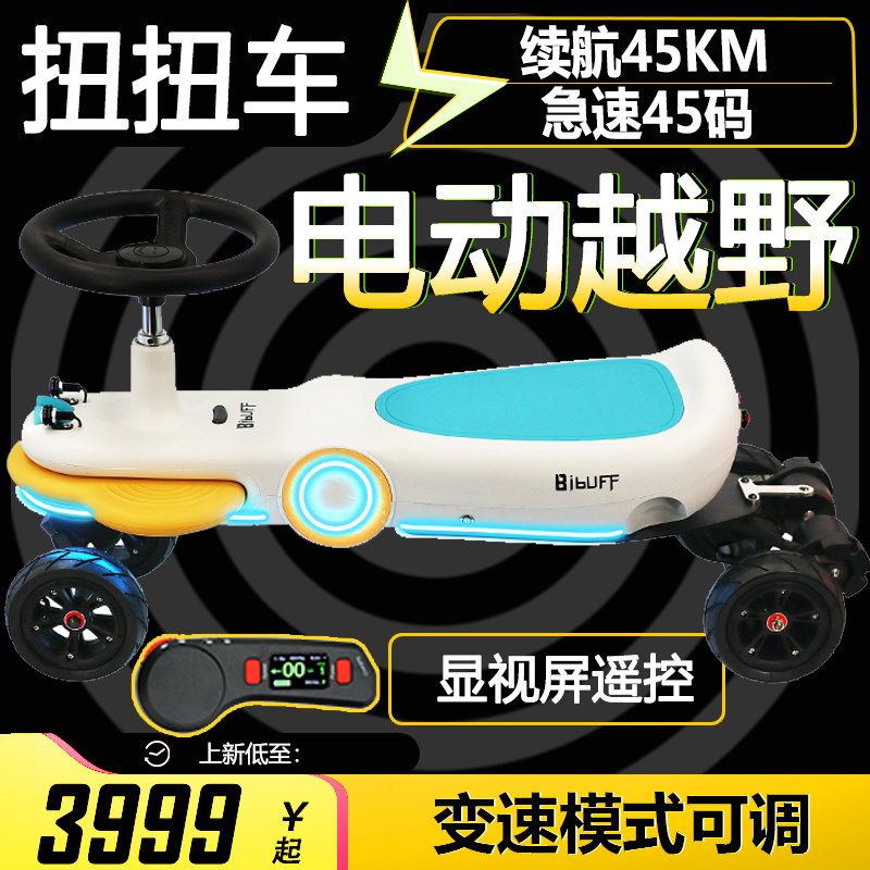 DIY成人遥控电动扭扭车