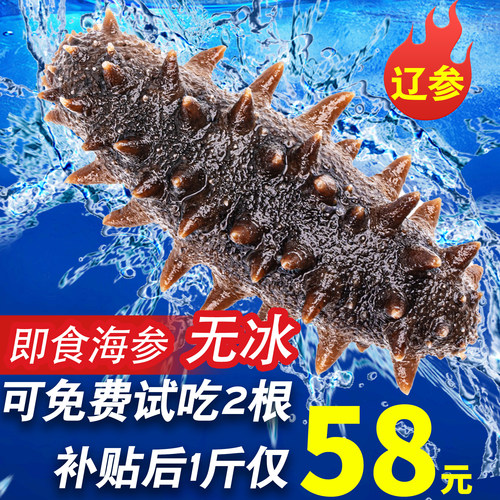 大连海参即食刺鲜活淡干海渗辽参年干货野生海生500g特价旗舰装袋