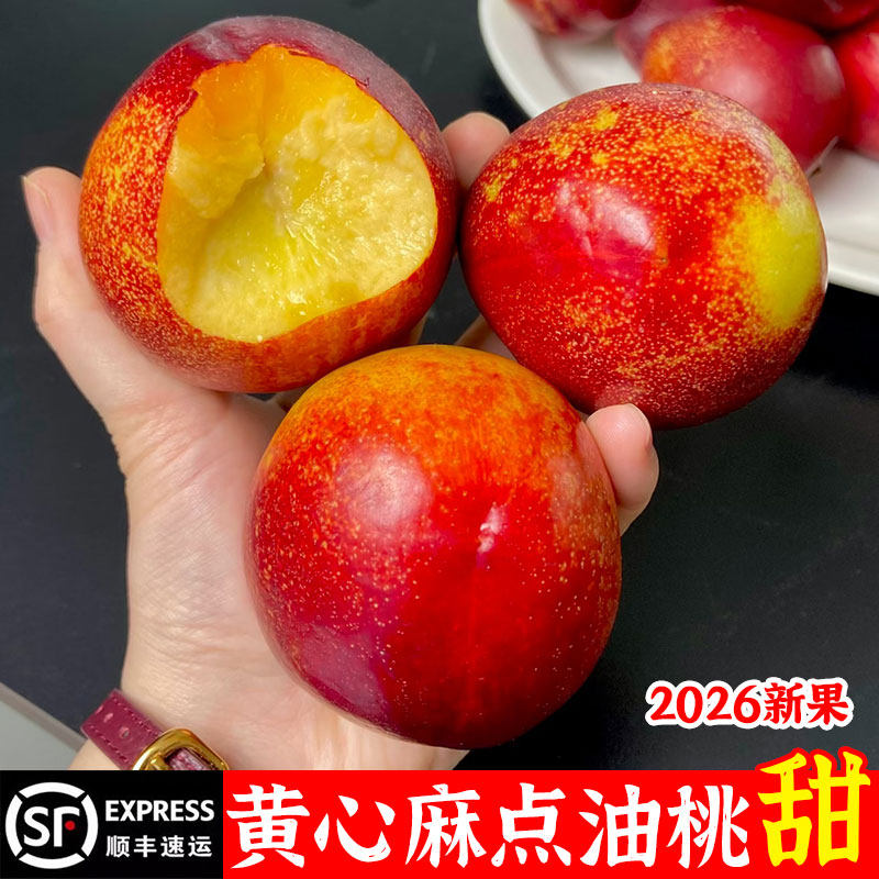 黄心麻点油桃新鲜水果当季整箱山东蒙阴蜜桃桃子新鲜黄肉脆甜水果